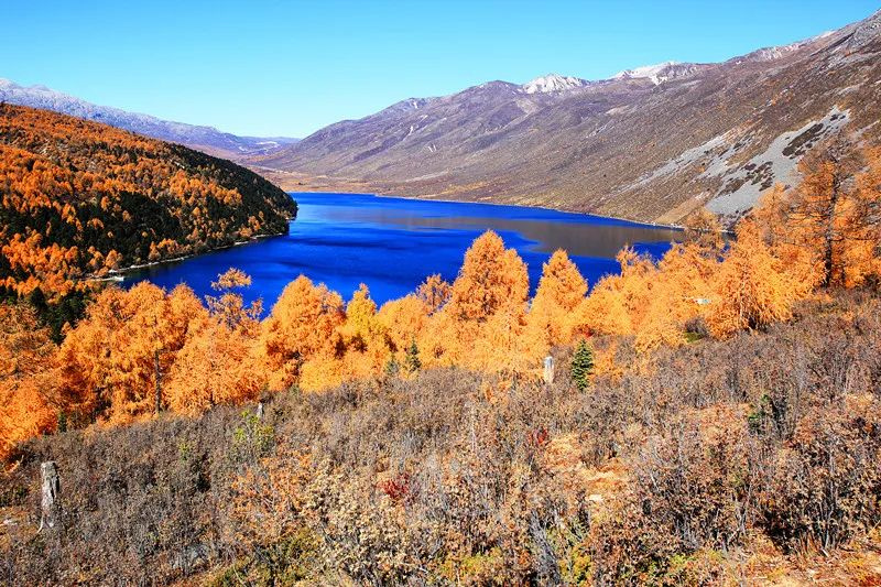 11.jpg 11.jpg